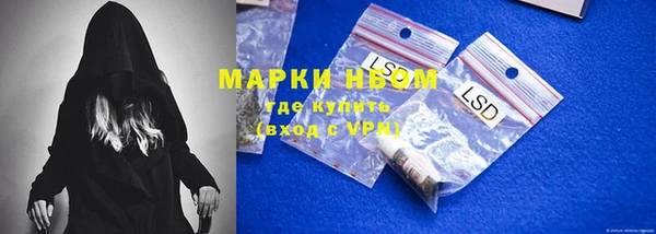 сатива Инта