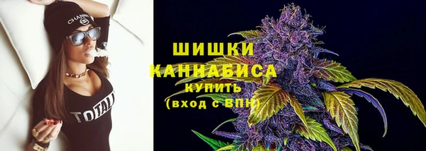 сатива Инта