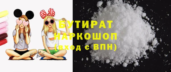 сатива Инта