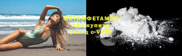 сатива Инта