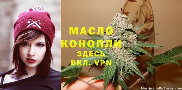 сатива Инта