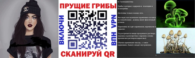 Купить  Чадан  Псилоцибиновые грибы ЛСД 